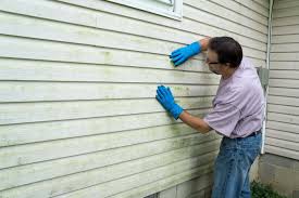 Best Vinyl Siding Installation  in Kaaawa, HI